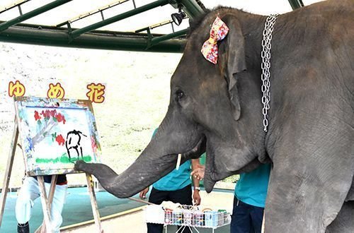 🐘 오키나와 어린이의 나라 (오키나와 코도모노쿠니) 이미지 6